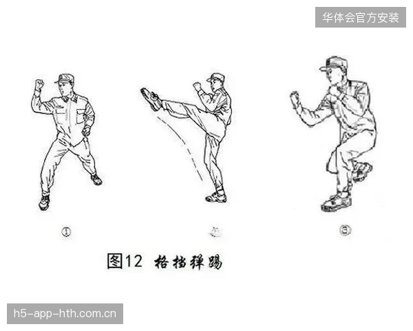 左勾拳低扫组合：展现极高技术的格斗艺术